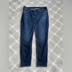 W34/L29 Elyse Skinny Silver Jeans